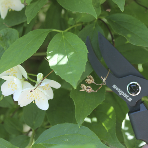 Ножницы-секатор, 19,5 см. Арт SPG3140                 