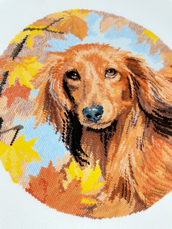 Набор для вышивания "Такса". Арт 03.014.32