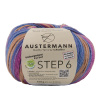Пряжа Step 6 Irish Rainbow Colours, 75% шерсть, 25% полиамид, 410 м, 150 г. Арт 97826-0715