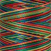 Нить вышивальная мультиколор POLY SHEEN MULTI, 200 м. Арт 4820-9937               