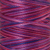 Нить вышивальная мультиколор POLY SHEEN MULTI, 200 м. Арт 4820-9973               