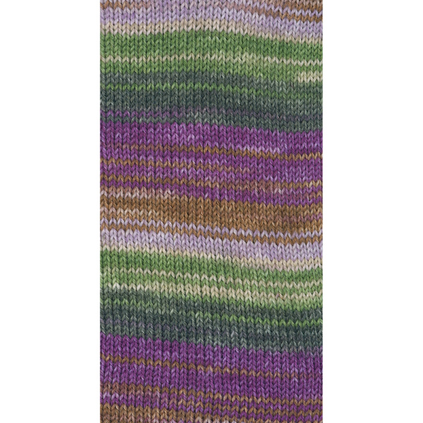 Пряжа Step 6 Irish Rainbow Colours, 75% шерсть, 25% полиамид, 410 м, 150 г. Арт 97826-0630