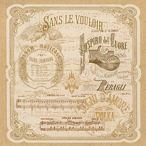 Фетр с принтом. Арт FLSP/ST53               