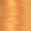 Нить для машинного квилтинга SILK-FINISH MULTI COTTON 50, 1372 м. Арт 9090-9827