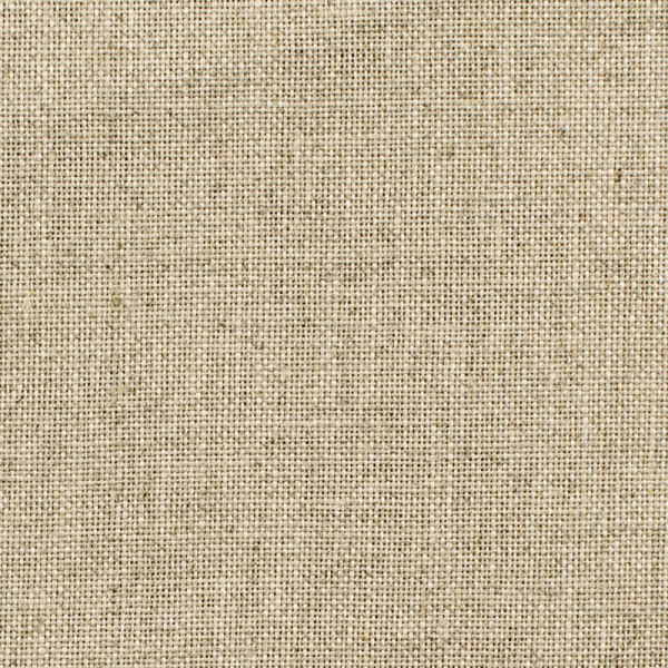 Канва Edinburgh 36 ct ширина 140 см. Арт 3217/53                 