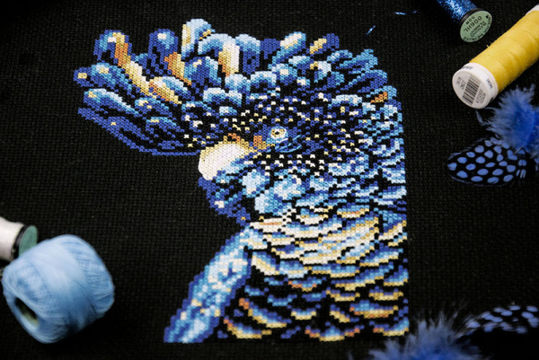 Набор для вышивания  "Черный какаду". Арт 03.010.24