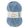 Пряжа Step 6, 75% шерсть, 25% полиамид, 410 м, 150 г. Арт 97825-0717