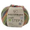Пряжа Step 6 Irish Rainbow Colours, 75% шерсть, 25% полиамид, 410 м, 150 г. Арт 97826-0742