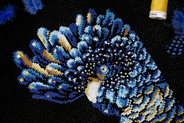 Набор для вышивания  "Черный какаду". Арт 03.010.24