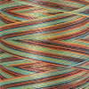 Нить вышивальная мультиколор POLY SHEEN MULTI, 200 м. Арт 4820-9974               