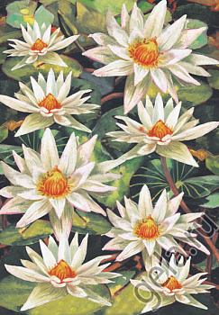 Карта для декупажа "Водяная лилия". Арт DFG270                  