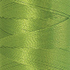 Нить вышивальная  POLY SHEEN, 200 м. Арт 3406-5912               