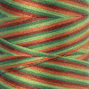 Нить для машинного квилтинга SILK-FINISH MULTI COTTON 50, 1372 м. Арт 9090-9822