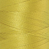 Нить вышивальная  POLY SHEEN, 200 м. Арт 3406-0221               