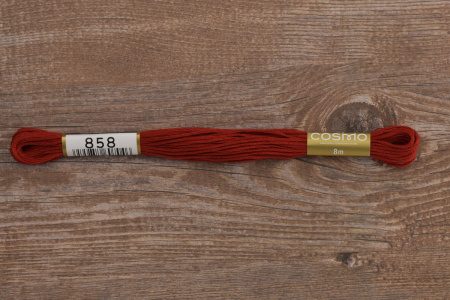 Мулине COSMO однотонный цвет  858       . Арт 25-6/858       