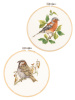 Набор для вышивания "Птицы сада Теи", канва аида 16 ct, диаметр 15 см, 2 дизайна. Арт H611A