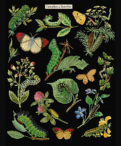 Набор для вышивания "Гусеницы и бабочки", канва аида (черная) 16 ct