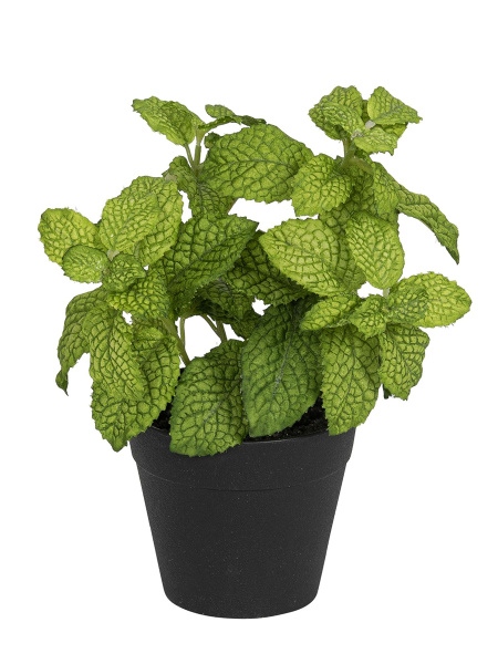 Цветок декоративный в кашпо "Мята". Арт 106280-800