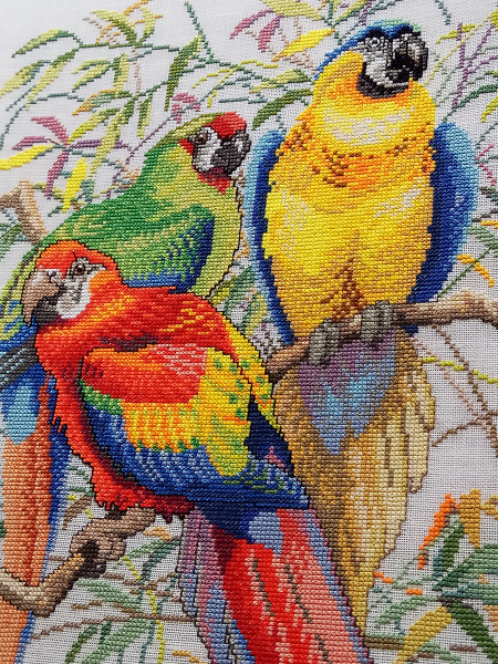 Набор для вышивания "Попугаи". Арт 72-292