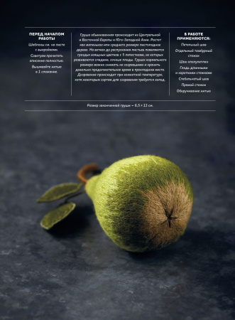 Книга "Botanica.12 авторских дизайнов с цветами и плодами. Объемная вышивка шерстью от Джули Книдл". Арт 978-5-00141-743-9