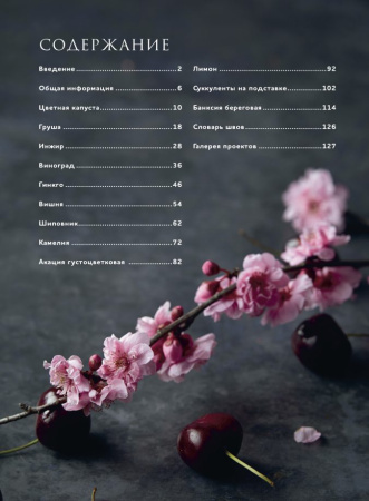 Книга "Botanica.12 авторских дизайнов с цветами и плодами. Объемная вышивка шерстью от Джули Книдл". Арт 978-5-00141-743-9