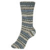 Пряжа Fortissima Socka 4-fach color, 75% шерсть, 25% полиамид, 420 м, 100 г. Арт 90028-2484