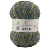Пряжа Step 6, 75% шерсть, 25% полиамид, 410 м, 150 г. Арт 97825-0614