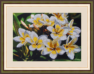 Набор для вышивания бисером "Магнолии". Арт Л314