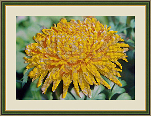 Набор для вышивания бисером "Хризантема". Арт Л311