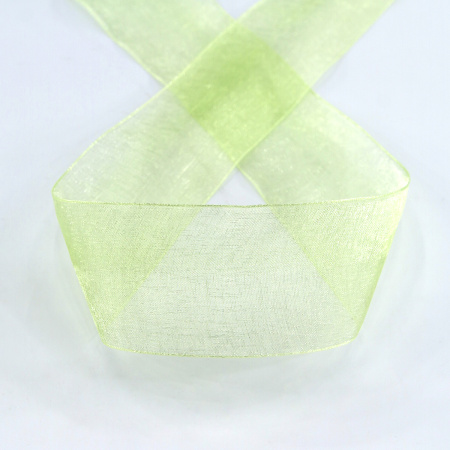 Лента органза SAFISA мини-рулон, 39 мм, 2 м, цвет 25, зеленый. Арт P00520-39мм-25          