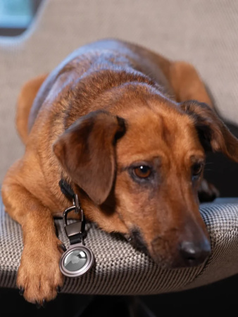 Брелок TROIKA "AIRTAG HOLDER". Арт KR25-05/SI