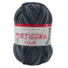 Пряжа Fortissima Socka 4-fach color, 75% шерсть, 25% полиамид, 420 м, 100 г. Арт 90028-2445
