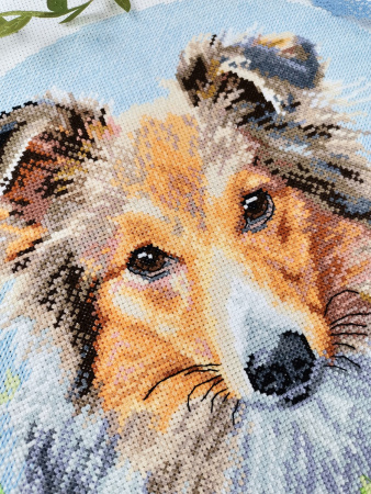 Набор для вышивания "Шелти". Арт 03.014.28