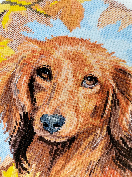 Набор для вышивания "Такса". Арт 03.014.32