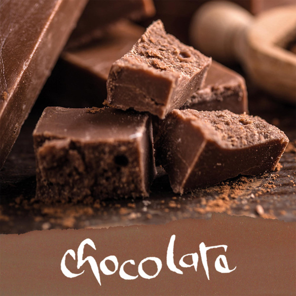 Чернила "Ink of the Senses" для перьевых ручек, 15 мл, с ароматом шоколада, цвет коричневый. Арт 17062/3