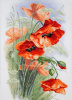 Набор для вышивания "Красные маки" по картине Катарины Кляйн. Арт 06.002.01               