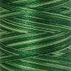 Нить вышивальная мультиколор POLY SHEEN MULTI, 200 м. Арт 4820-9932               