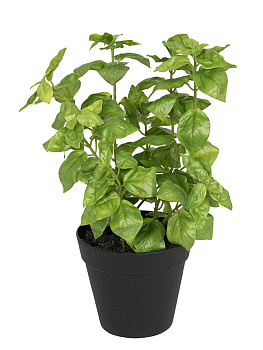 Цветок декоративный в кашпо "Базилик". Арт 106311-800