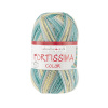 Пряжа Fortissima Socka 4-fach color, 75% шерсть, 25% полиамид, 420 м, 100 г. Арт 90028-2488