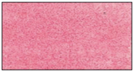 Краска - спрей "Aquacolor Spray "для техники "Mix Media", 60 мл. Арт KAQ008