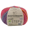 Пряжа Step 6 Irish Rainbow Colours, 75% шерсть, 25% полиамид, 410 м, 150 г. Арт 97826-0632