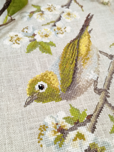Набор для вышивания  "Белоглазка". Арт 03.011.15