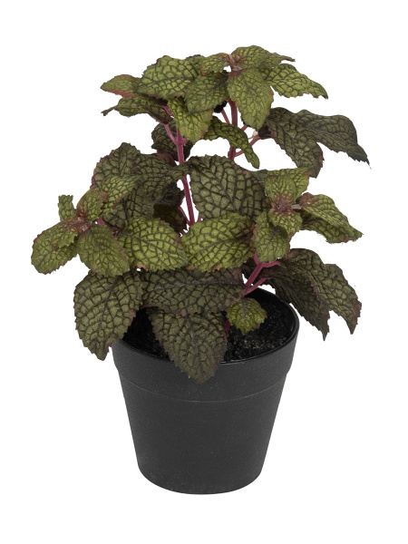 Цветок декоративный в кашпо "Мята". Арт 106280-855