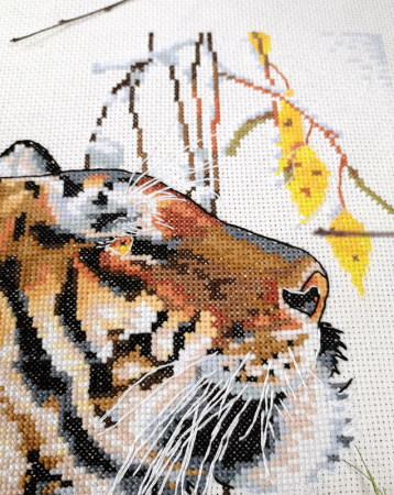 Набор для вышивания "Тигр". Арт 03.014.19