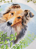 Набор для вышивания "Шелти". Арт 03.014.28