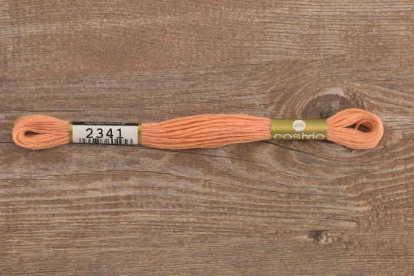 Мулине COSMO однотонный цвет  2341      . Арт 25-6/2341      