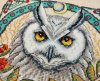 Набор для вышивания "Белый филин". Арт 03.017.21