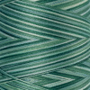 Нить для машинного квилтинга SILK-FINISH MULTI COTTON 50, 1372 м. Арт 9090-9819