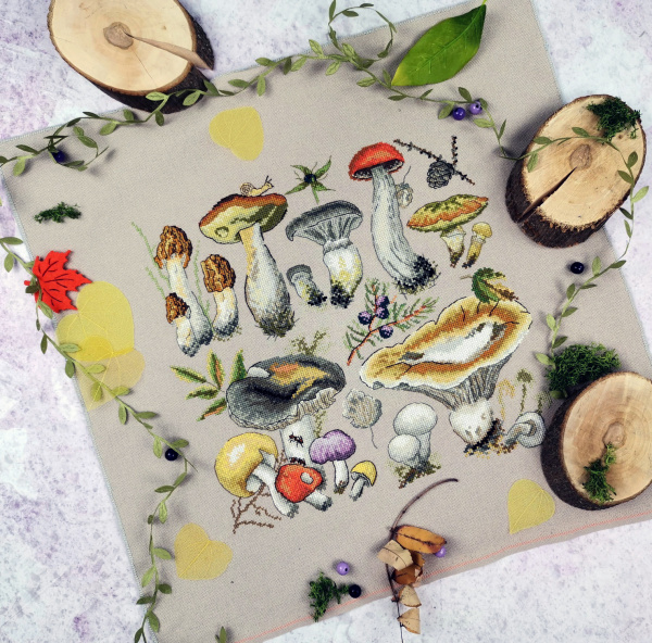 Набор для вышивания "Ассорти грибное". Арт 04.012.08