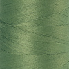 Нить для машинного квилтинга SILK-FINISH COTTON 50, 1829 м. Арт 9150-0840